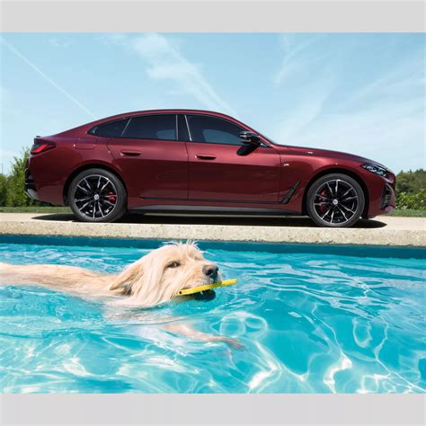 BMW Service: Our offers and services at a glance