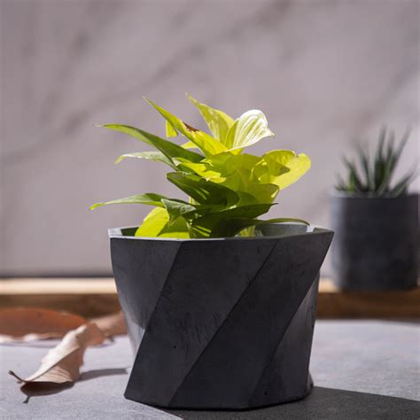 Dyoct-Dark Concrete-Octagonal Faceted Modern Planter – Greyt