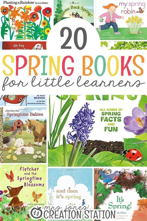 Image result for Sorting through Spring Book