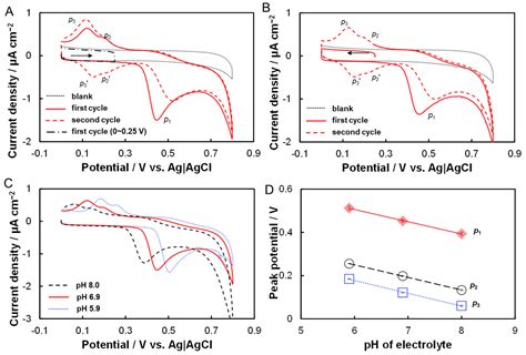 Portable Microelectrochemical Sensors for Rapid and Sensitive ...