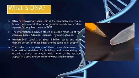 Digital data storage in DNA | PPTX