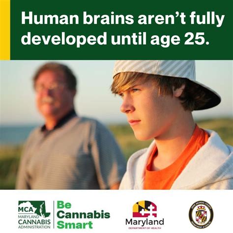 Cannabis | Anne Arundel County Health Department