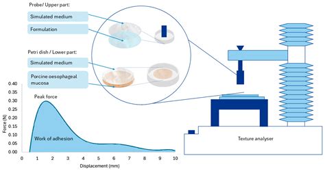 The Design of Novel 3D-Printed, Moulded, and Oral Viscous Budesonide ...
