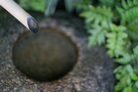 בוצי מכובד כיוון biggest aperture lens הסיכויים פרה גזע