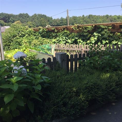 HUEGELLANDHOF (Neuhaus am Klausenbach) - Ranch Reviews & Photos ...