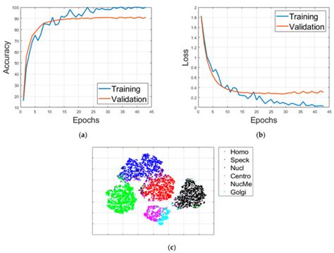 A Classification Method for the Cellular Images Based on Active ...