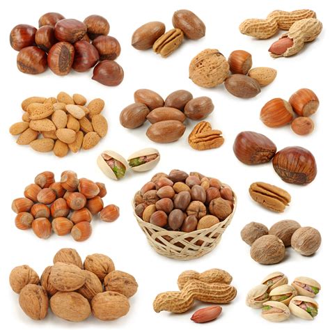 Nuts clipart 19 free Cliparts | Download images on Clipground 2026