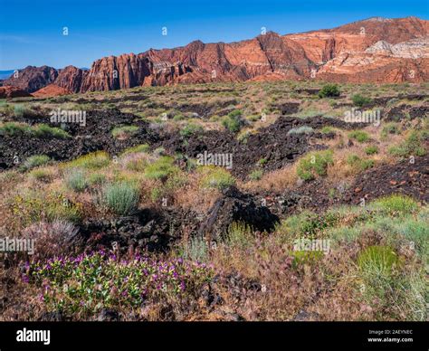 Basalt flow, Lava Flow Trail, Snow Canyon State Park, Saint George ...