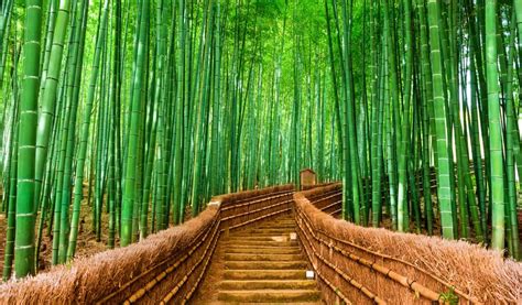 Image result for Time4Learning Science Games