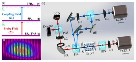 Experimental Realization of Reconfigurable Photonic Lattices in ...