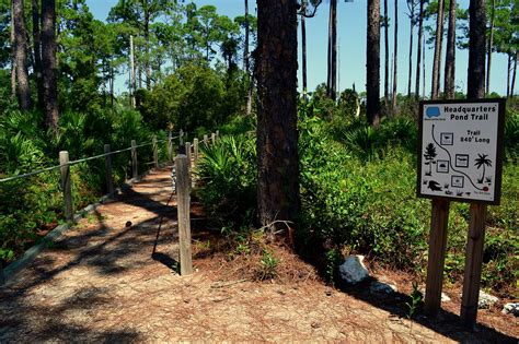 St. Marks National Wildlife Refuge | Big Bend Scenic Byway