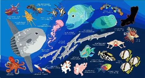 海底不断传出诡异怪声，或与未知巨型生物有关？,社会,奇闻轶事,好看视频