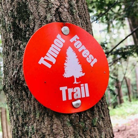 Tymor Park Loop - New York | AllTrails