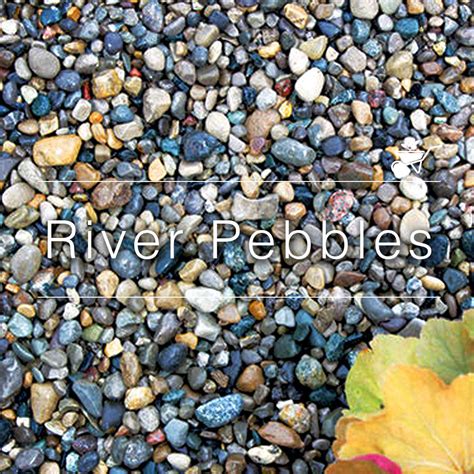 Buy River Pebbles Stones | Decorative Pubbles Collection Online