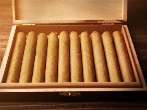 Image result for Humidor How to Use