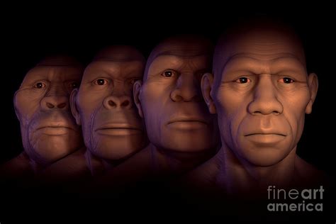 Evolution to Human 的图像结果