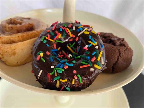 Wess Bakes Chocolate Donuts (Mumbai Only) – Greend - The Vegan Store