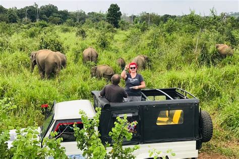 2025 Hurulu Eco Park Half Day Safari (Habarana) - with Reviews & Photos