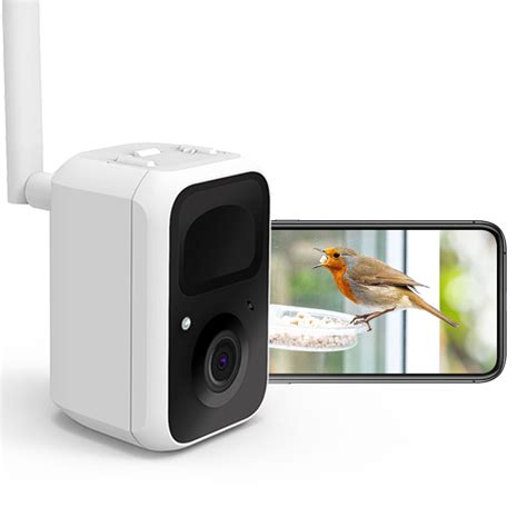 Netvue Birdfy Smart Bird Feeder Camera Bird Watching Camera Auto ...