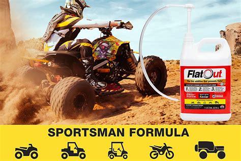 Buy FlatOut Tire Sealant Sportsman Formula - with Valve Core Tool and ...