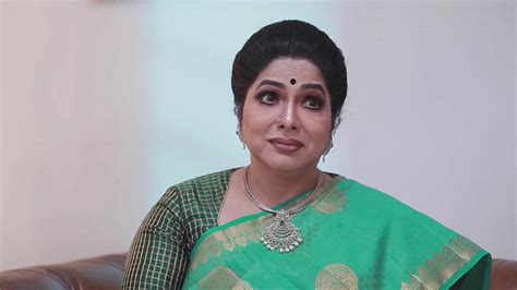 Varisu TV Serial Online - Watch Latest Show Episodes on ZEE5