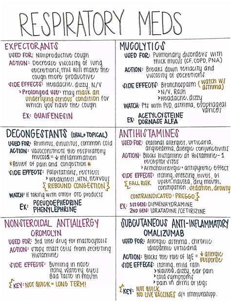 Best 13 Respiratory Medications – Asthma, COPD, and Beyond – Artofit