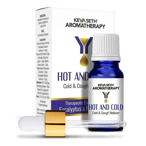 Hot and Cold-Congestion Reliever Steam Inhaler- Prevents Cold and Cough ...
