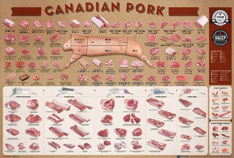 Printable Pork Cuts Chart - Printable Calendar