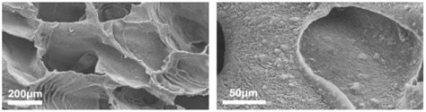 Nanostructured Biomaterials and Their Applications