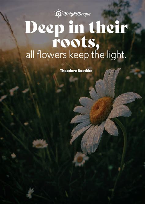 Quotes On Nature Side at Brianna Fornachon blog