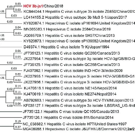 Rezultat imagine pentru Consensus Sequence Example