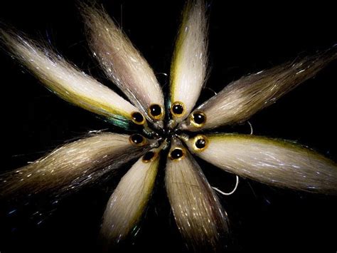 Mullet Fly Pattern 的图像结果