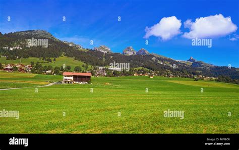 Alps Encoder 的图像结果