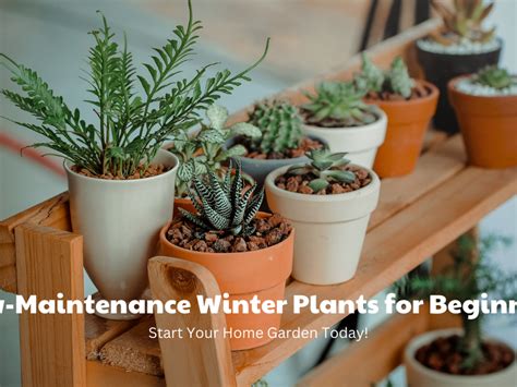 Gardening Blogs - Top Plant Gardening Basics Blogs Online at Pot and Bloom