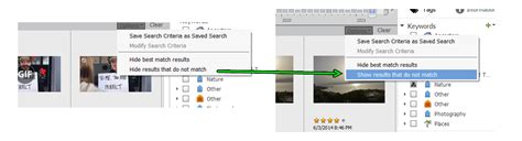 Image result for Adobe Organiser Elements 2021 Tutorial