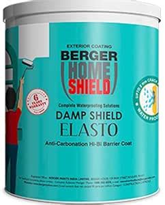 Berger Paints Home Shield Damp Shield Elasto (White, 4 L) : Amazon.in ...
