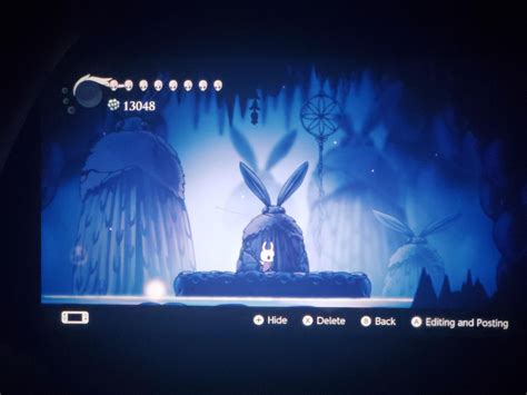 Is there any purpose to this cave in the Spirits' Glade? : r/HollowKnight