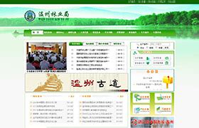 温州网站建设_专业网站优化推广与制作-温州SEO