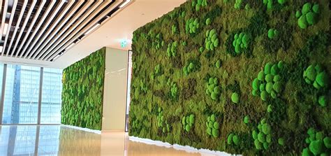 Moss Wall Specifications at Kai Chuter blog