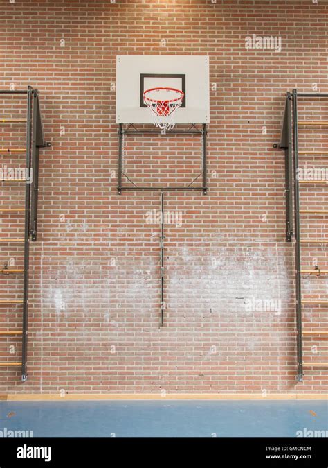 School Gym 的图像结果