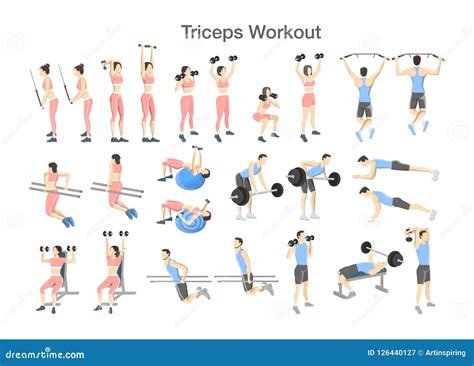 Bicep And Tricep Workouts Using Dumbbells | EOUA Blog