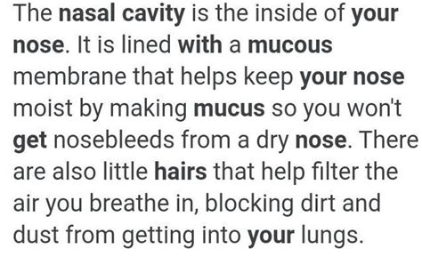 Our nostrils has hair and mucous. What is the need to have them in our ...