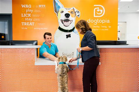 Image result for How to Download Dogtopia Java