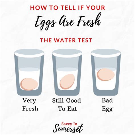 How To Test Eggs For Freshness | Check eggs for freshness, Egg test ...