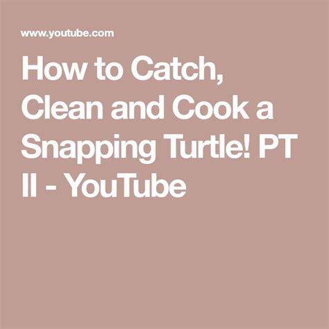 Image result for Catch Cook Clean Turtle