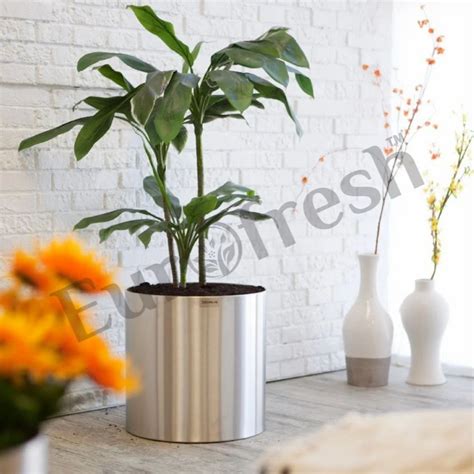 SS Planter Pot - Designer Fiberglass Planters In Bengaluru Manufacturer ...