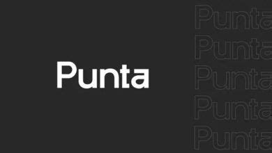 Is "Punta" a Bad Word in Spanish? - Talkcitee.com