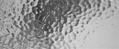 Frosted Glass Design: Ideas & Advantages