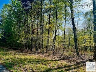 Patrick Springs VA Real Estate & Homes for Sale - Homes.com