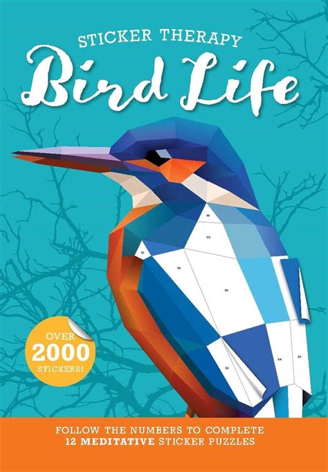 Bird Life: Sticker Activity Book : Lake Press: Amazon.in: Books